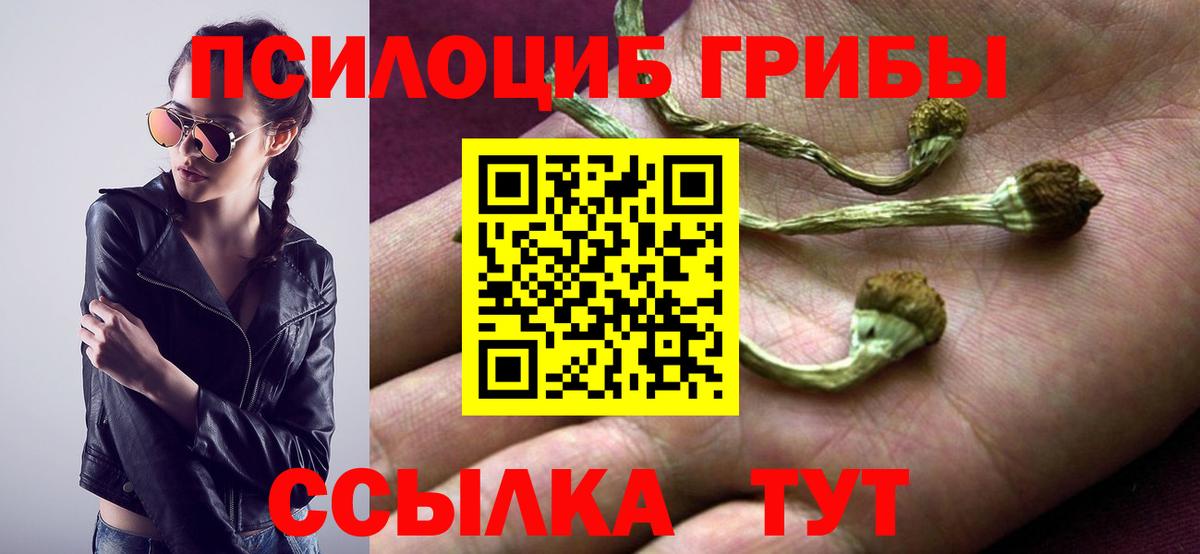 Псков  Псилоцибиновые грибы Psilocybe  Вход с VPN 